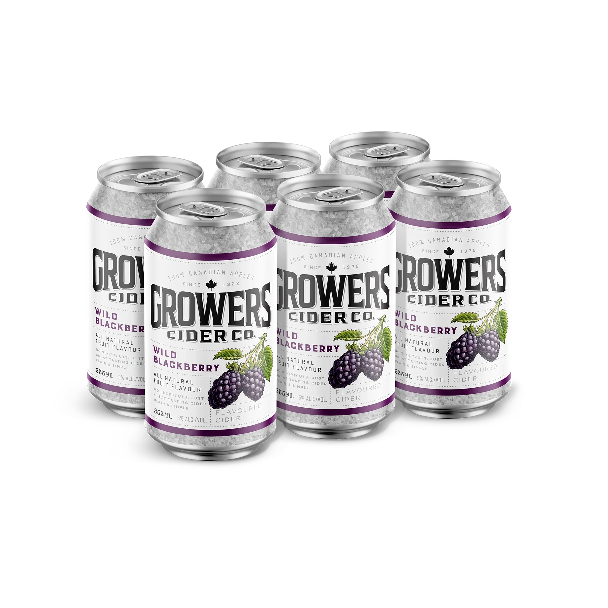 GROWERS WILD BLACKBERRY CIDER 355ML 6PK CAN @ Saskatoon [1016324]