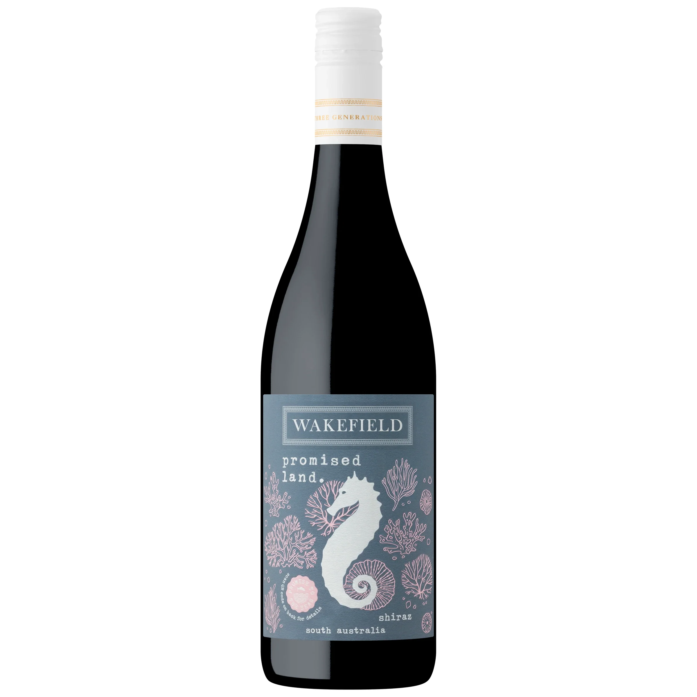 WAKEFIELD PROMISED LAND SHIRAZ 750ML @ MacTaggart [1033599]